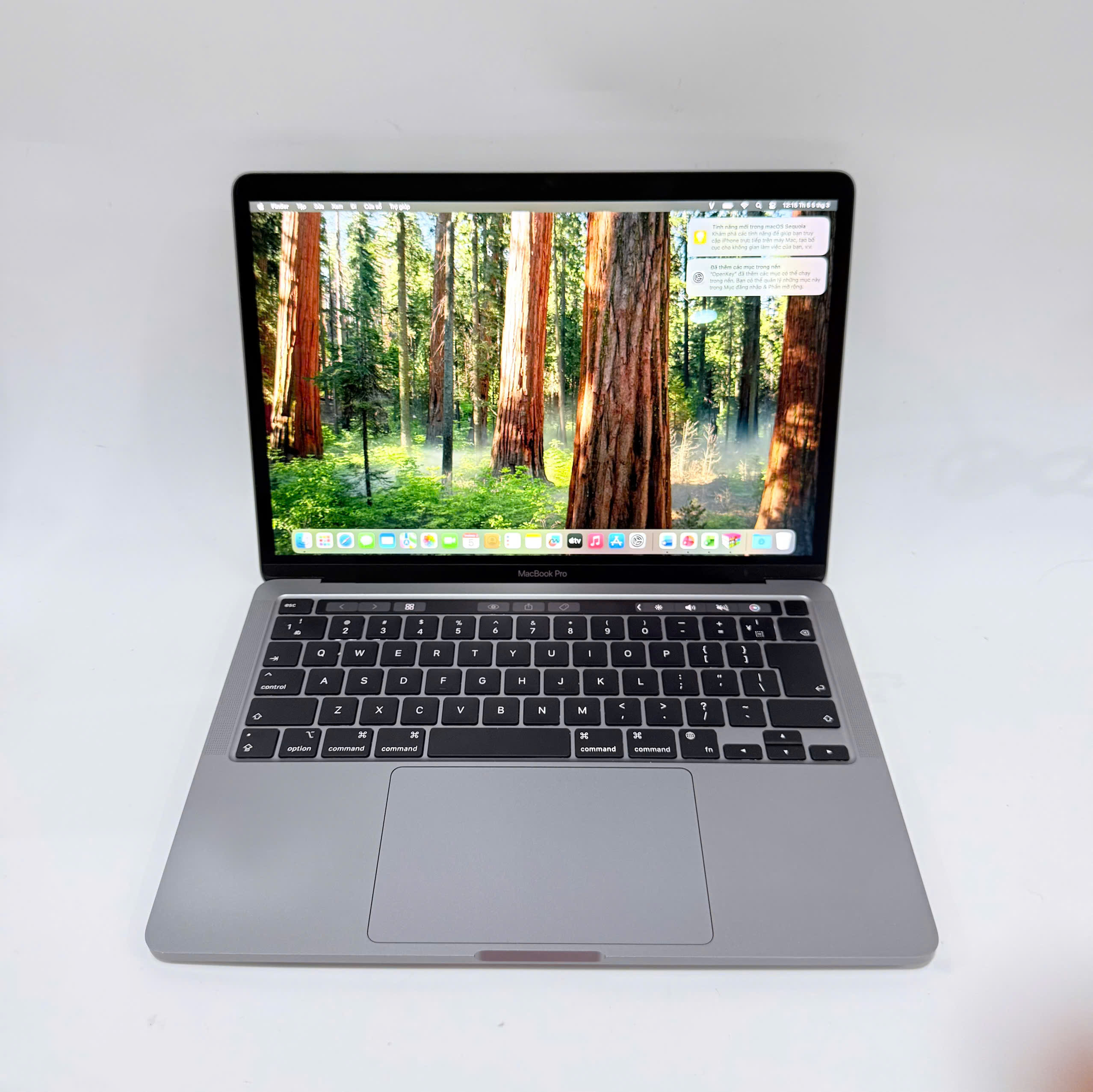 z7653369964145_bf371e4a7af7d9cd323df20f44947717