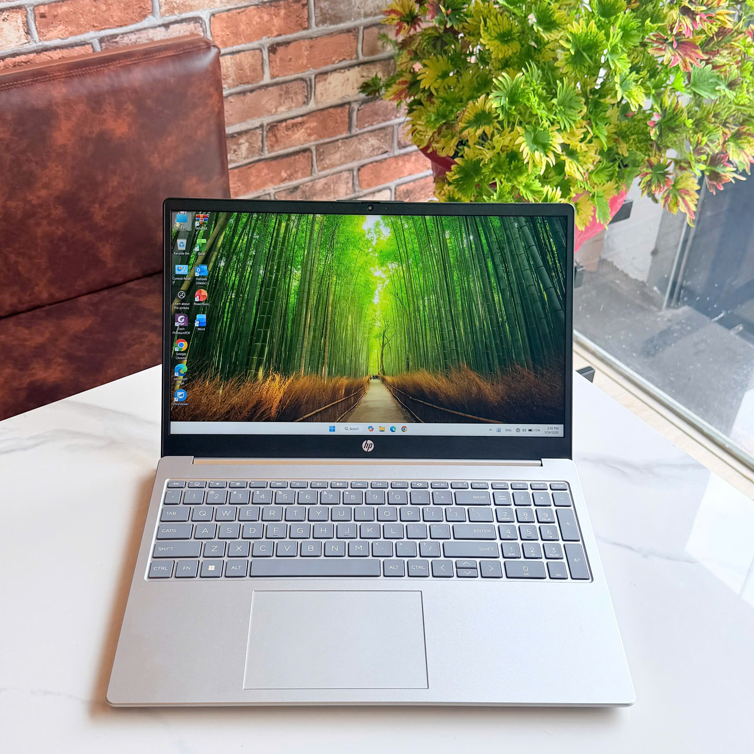 z7660007529081_44efebffc477ba83fcab9d2b1eac9427