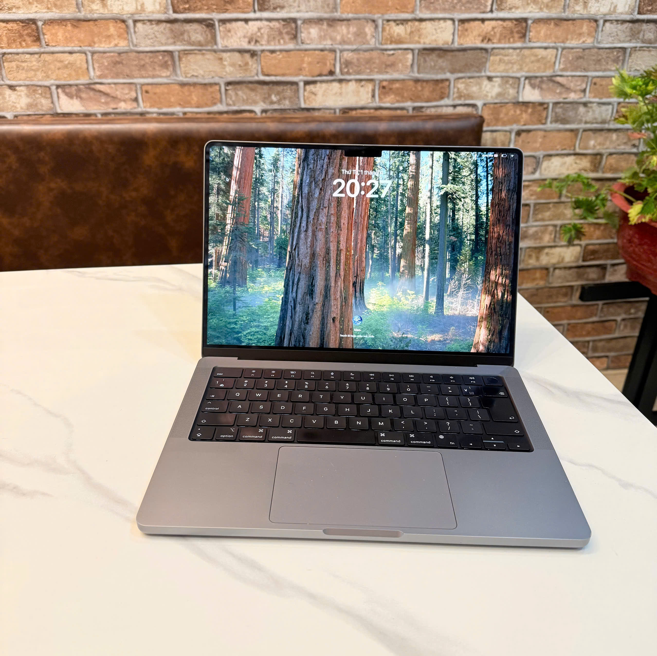 z7681414152832_a28d445f0ad4c208da888906b24fc1bf