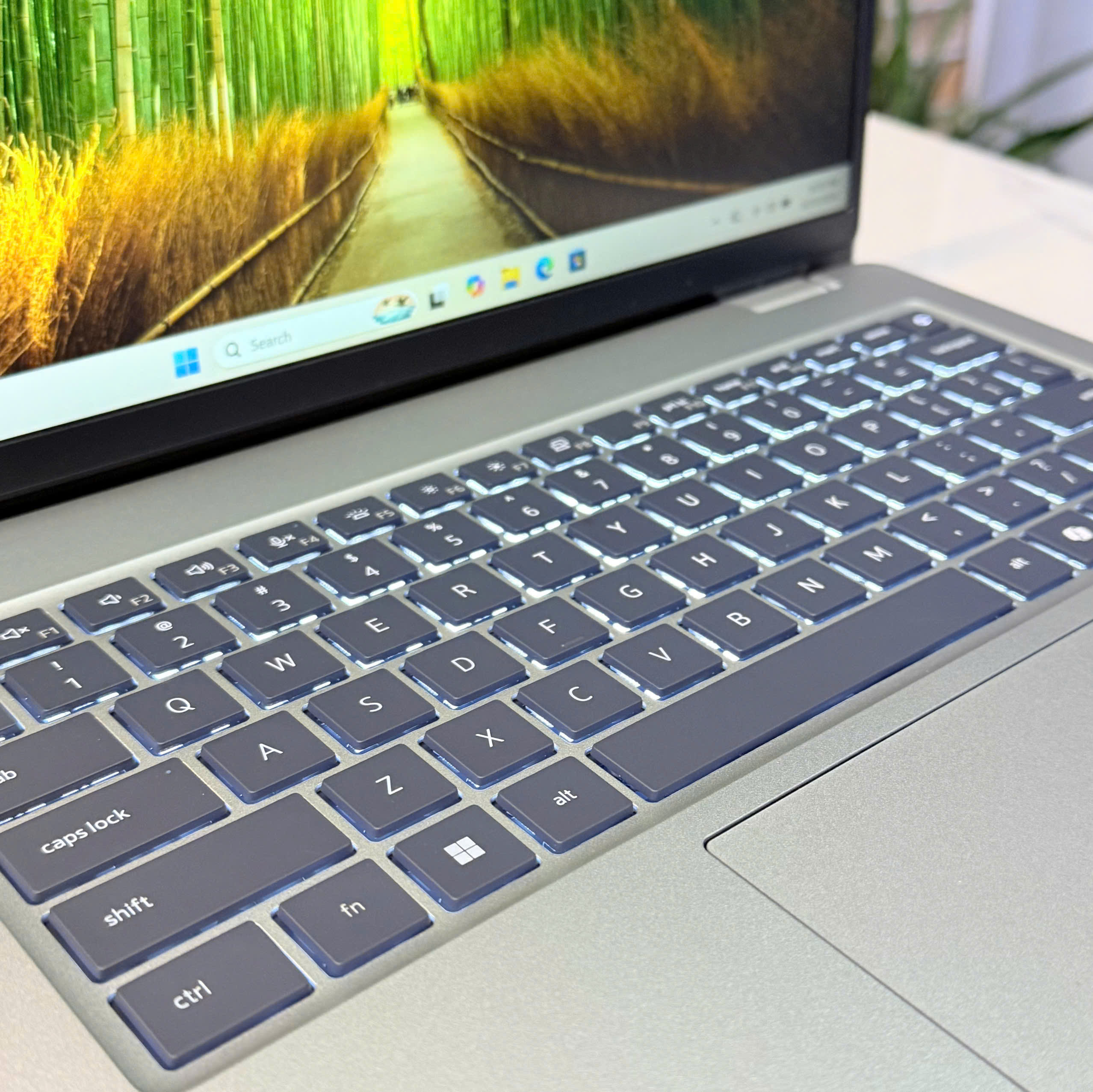 Dell Pro 14 PC14250 FHD Plus Dell Pro 14 PC14250 màn hình FHD Plus